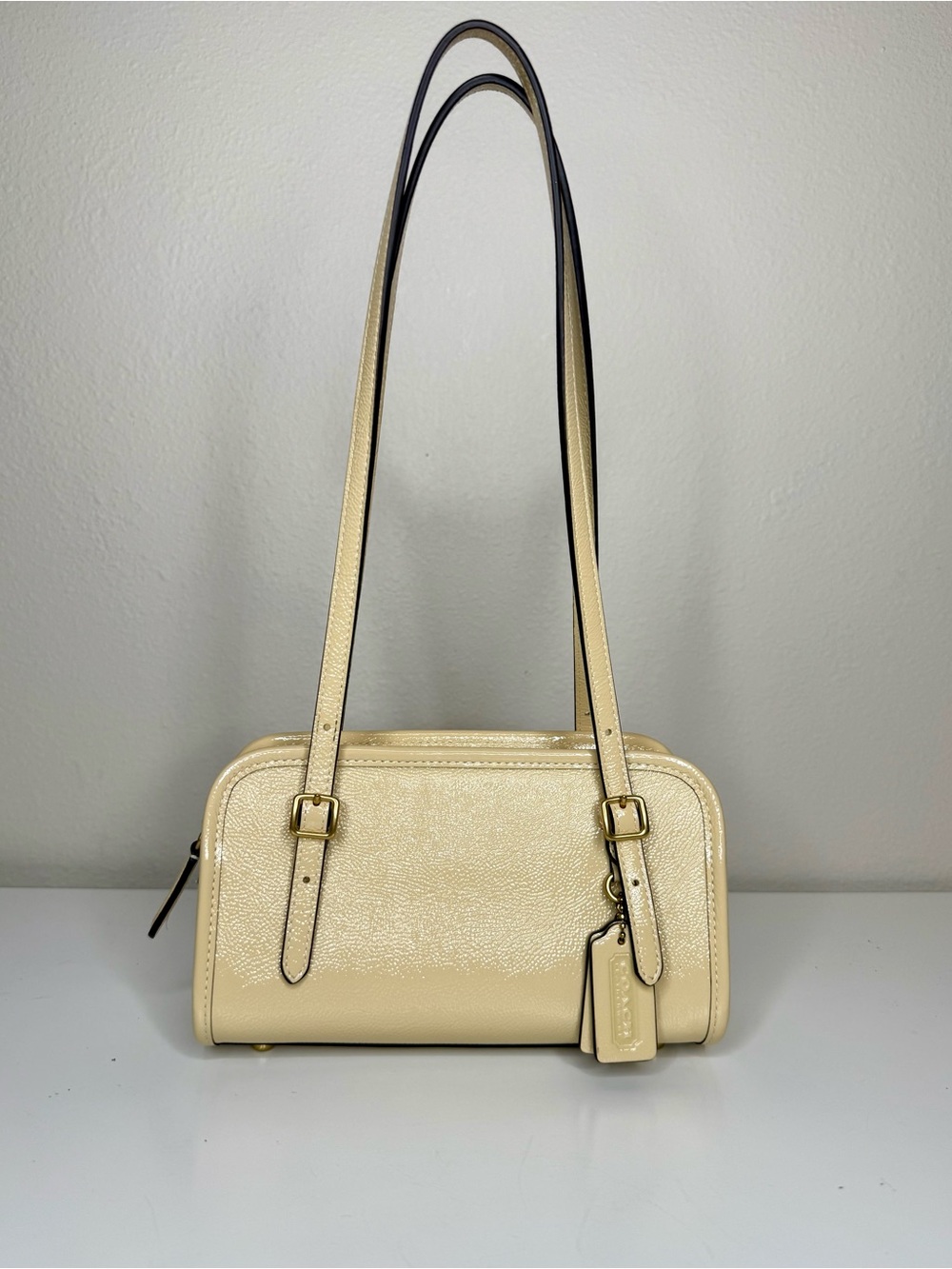 Coach Swing Zip Bag 20